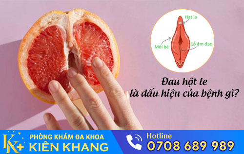 Hột Le, Mồng Đốc, Âm Vật Bị Đau Là Dấu Hiệu Của Bệnh Gì?