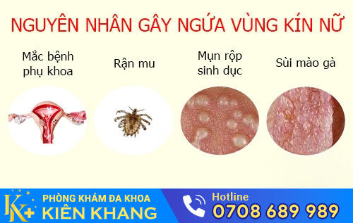Ngứa Âm Đạo Và Cách Hỗ Trợ Điều Trị Hiệu Quả
