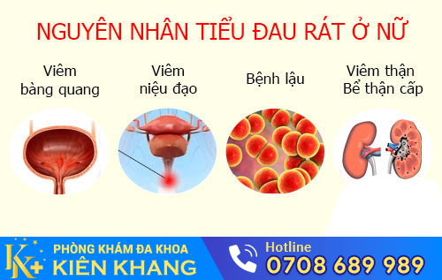 Tiểu Đau Rát Ở Nữ Giới Và Những Điều Chị Em Cần phải Biết